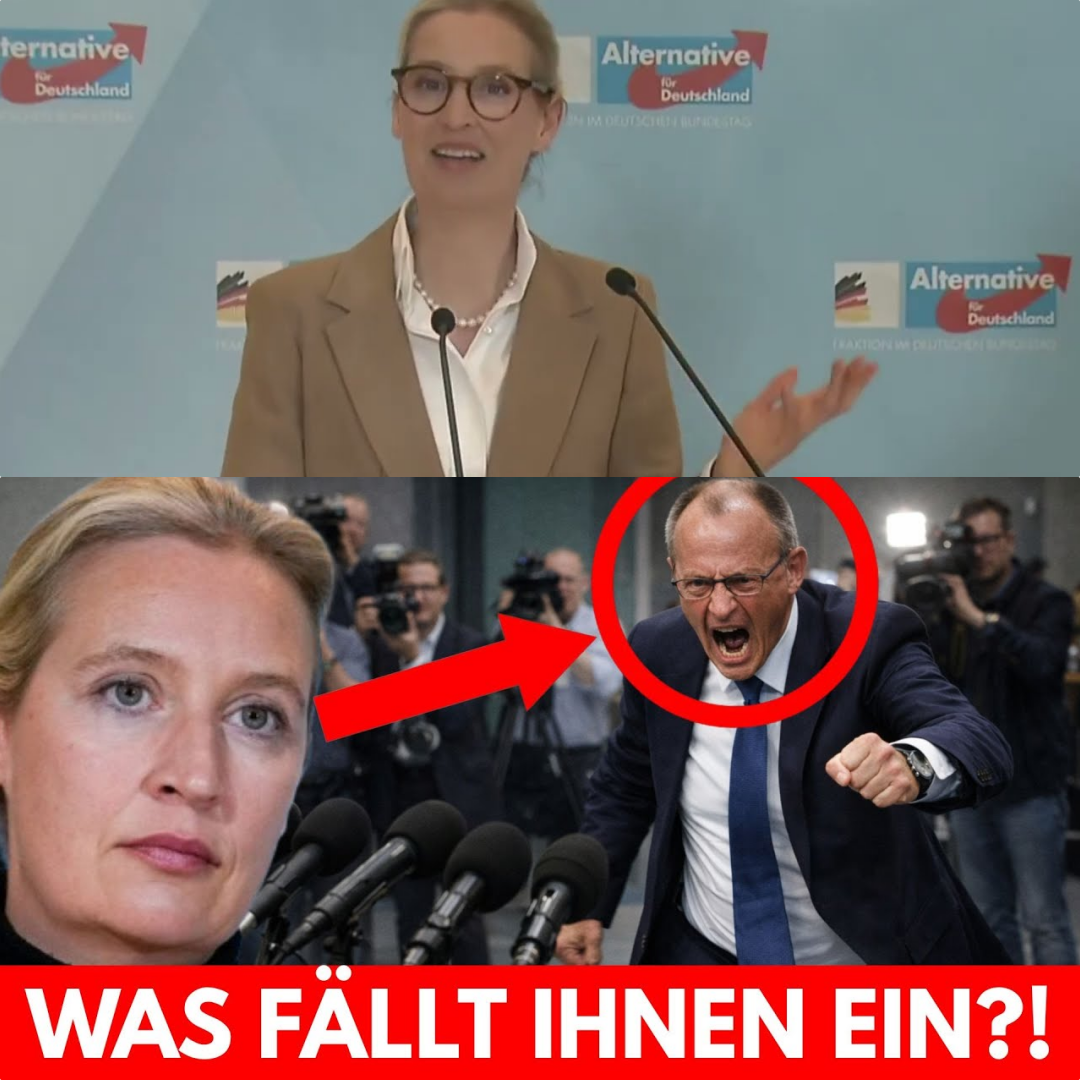 Wirtschafts-Kollaps statt Wunder: Warum Deutschland sehenden Auges in die Pleite steuert