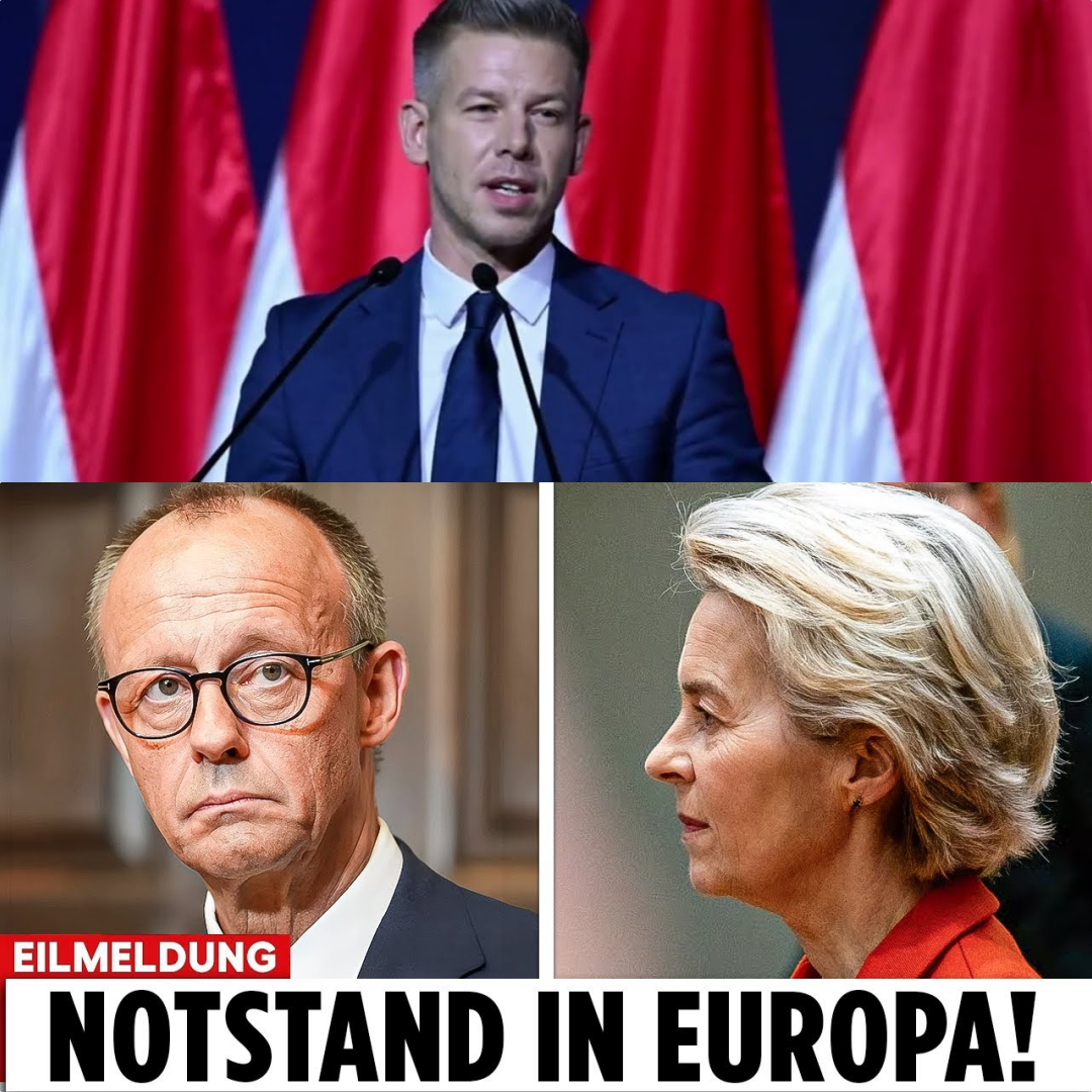 Brüsseler Machtkampf: Wenn das System von der Leyen ins Wanken gerät