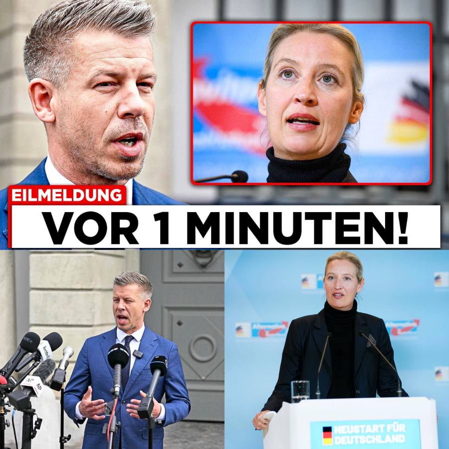 Das ungarische Beben: Wie Peter Magyars Kurswechsel die Brüsseler Elite schockiert und die Brandmauer einreißt