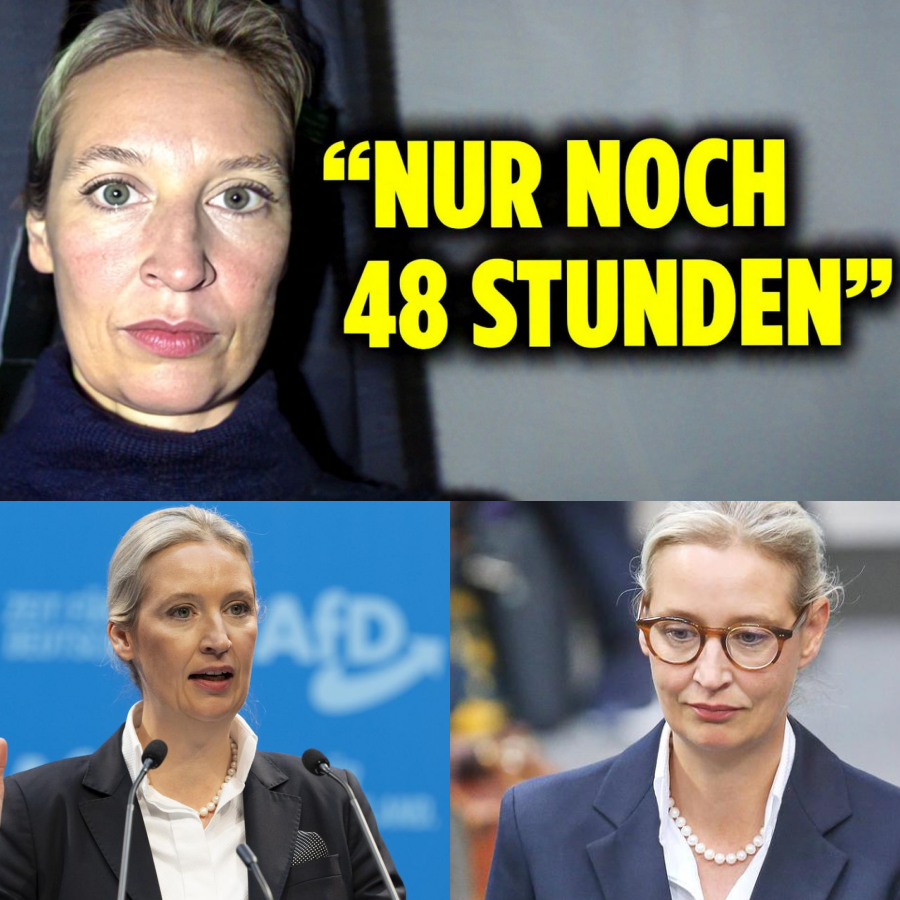 Leben im Ausnahmezustand: Alice Weidels dramatischer Notruf und der Angriff auf die Opposition