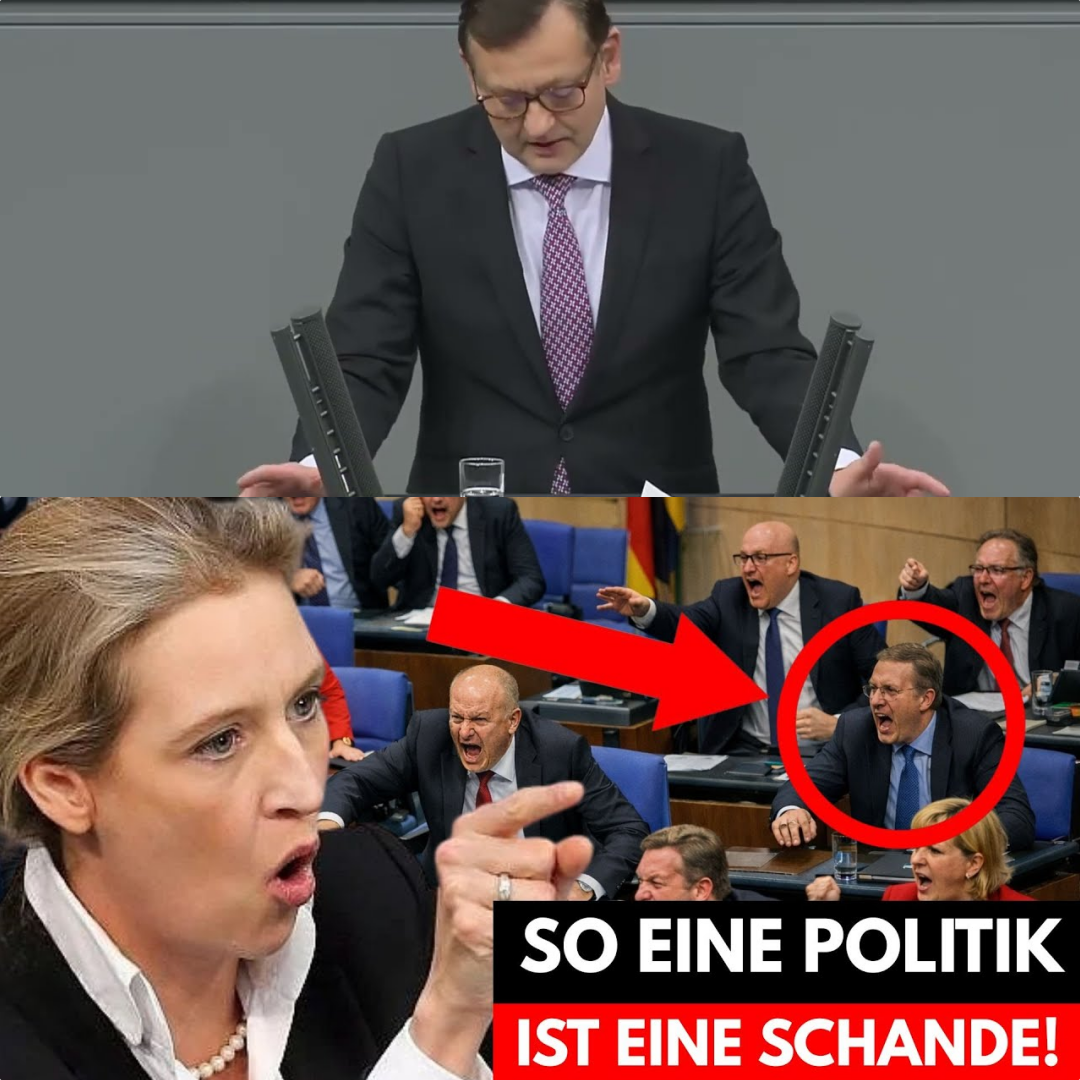 Wirtschaftlicher Offenbarungseid: AfD-Rede legt Versagen der Regierung im Bundestag gnadenlos offen