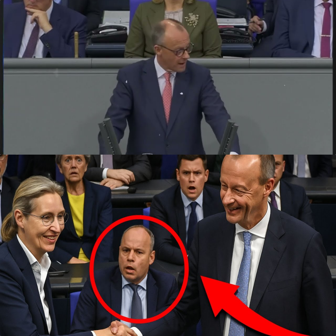 Politischer Showdown im Bundestag: Der erbitterte Schlagabtausch um Merzโ Fรผnf-Punkte-Plan