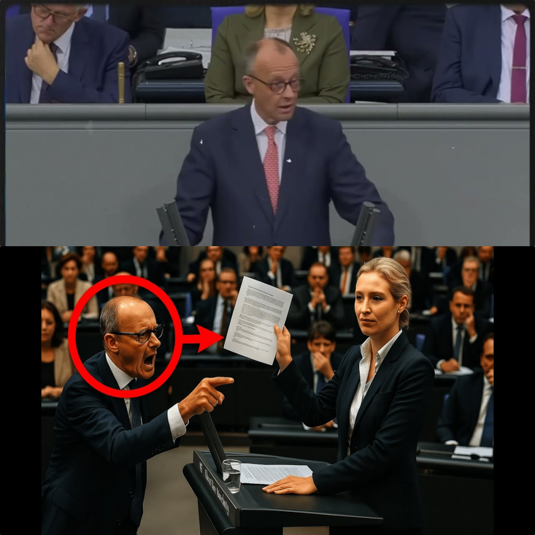 Frontalangriff im Bundestag: Weidel und Merz im erbitterten Duell um die Pflichtdienst-Debatte