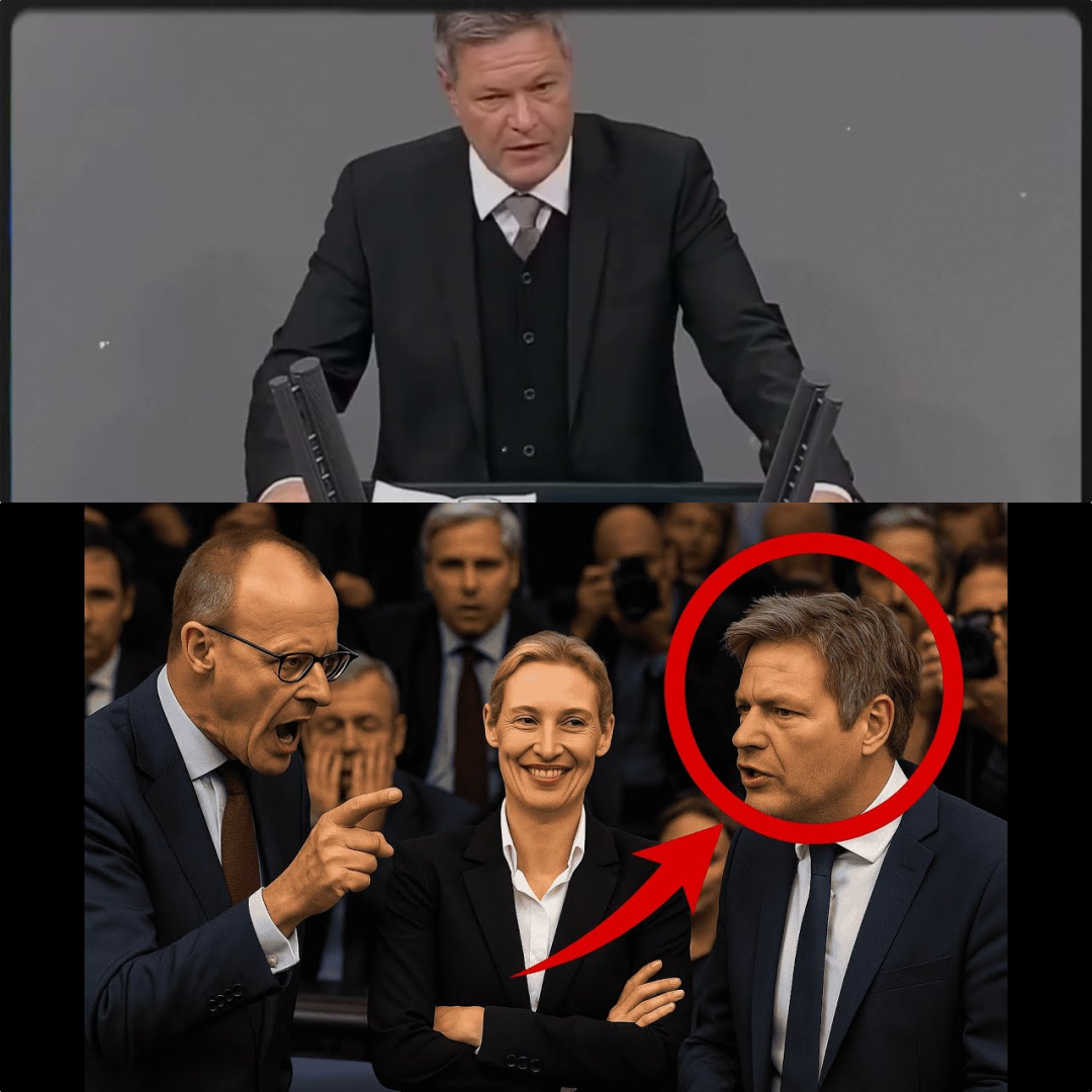 Wirtschaftlicher Zoff im Parlament: Habecks emotionaler Auftritt und die scharfe Kritik der Opposition