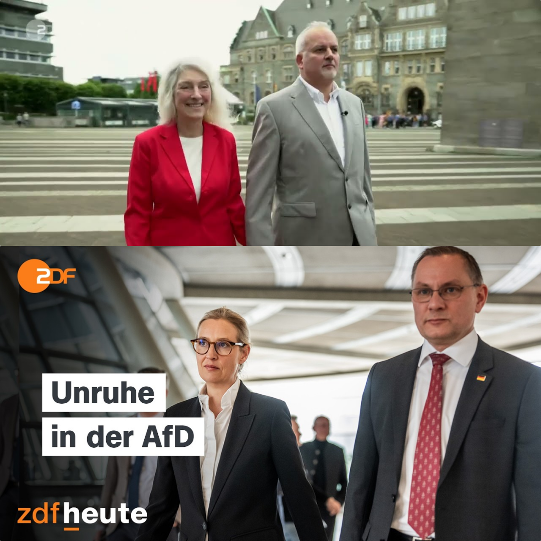 Beutegemeinschaft statt Mut zur Wahrheit: Wenn Familienbande die AfD in die Krise stรผrzen