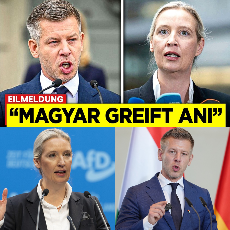 Der große Verrat in Europa? Wie Peter Magyar die Deutschen in Berlin verspottet, Ungarn an Brüssel ausverkauft und Alice Weidel zum Gegenschlag ausholt
