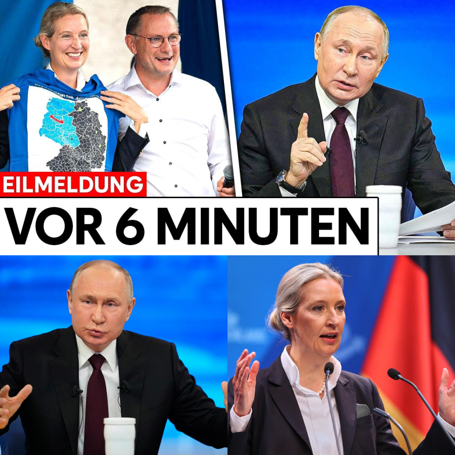 Diplomatisches Beben: Wie Wladimir Putin die AfD als Verhandlungspartner fordert und die deutsche Politik herausfordert