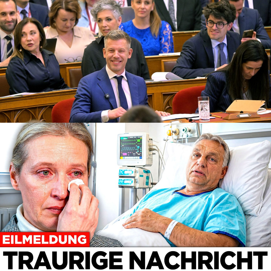 Umbruch in Ungarn: Warum Péter Magyar jetzt zum entscheidenden Schlag gegen das alte System ausholt