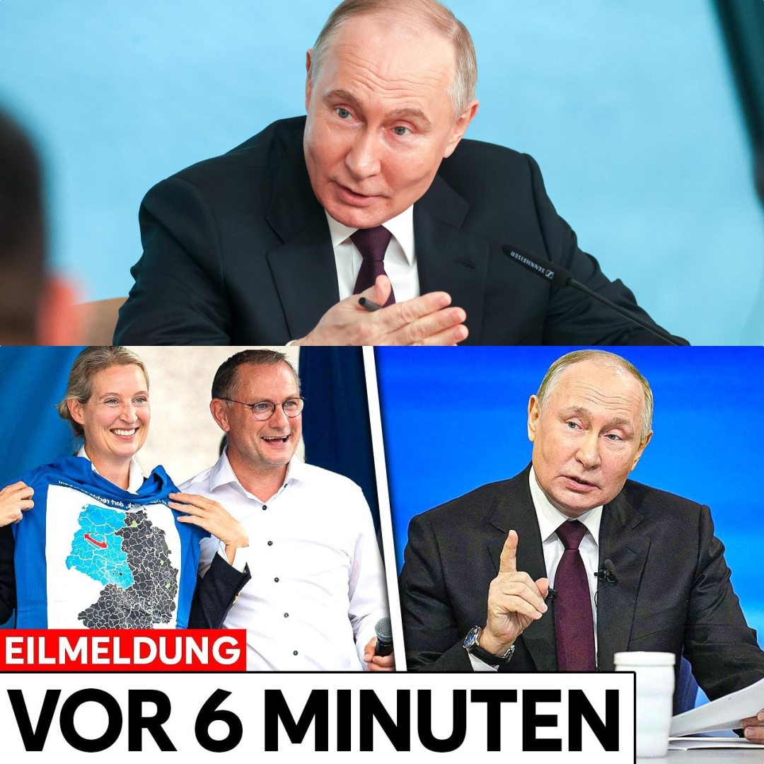 Diplomatisches Beben: Warum Putin die AfD als Verhandlungspartner fordert und Berlin schweigt