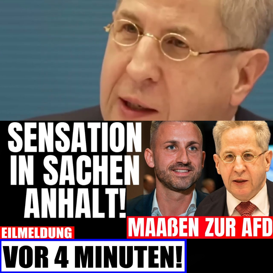 SENSATION! Maaßen wechselt zur AfD?! Ulrich Siegmund kriegt Hammer-Verstärkung!