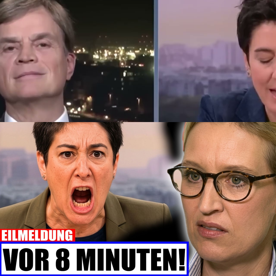 AfD-Hammer! Klage gegen Hayali nach heftiger Beleidigung!