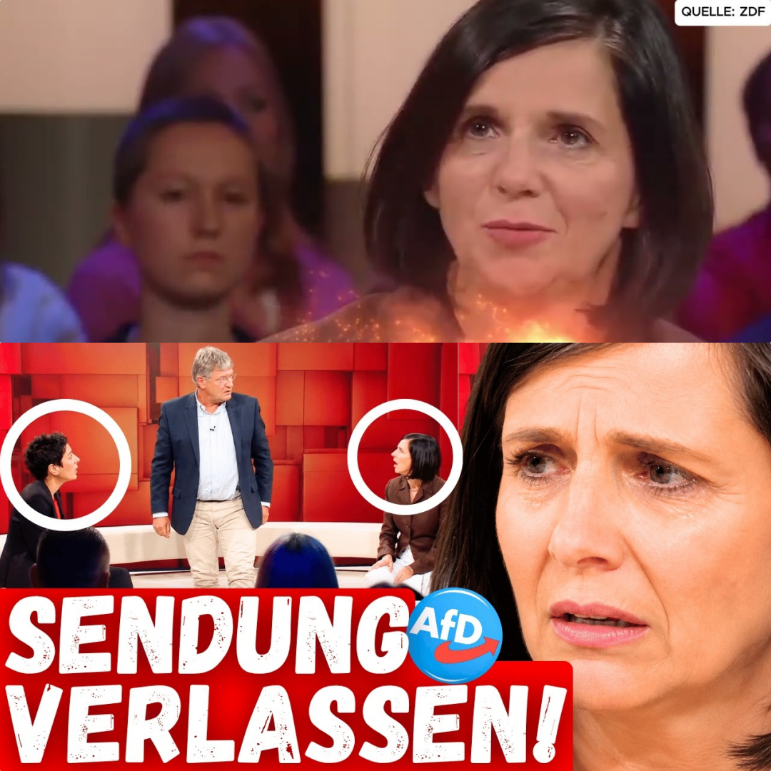 Das TV-Beben: Wenn AfD-Klartext die grüne Moral-Fassade zum Einsturz bringt
