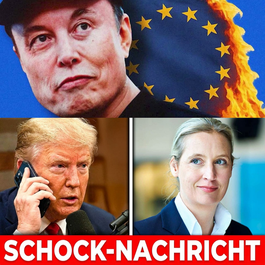 Geopolitisches Erdbeben: Wenn Donald Trump den Kurs in Berlin neu bestimmt