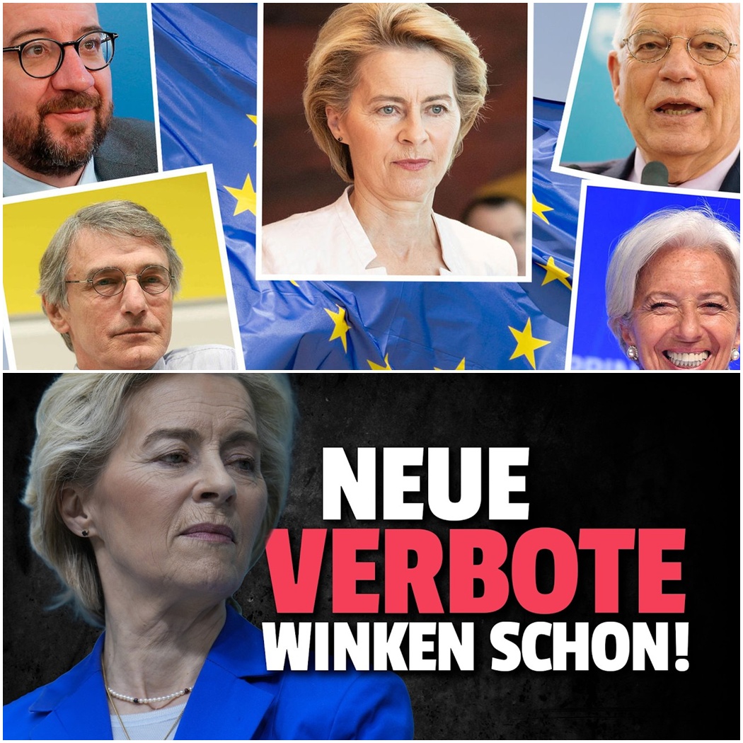 Der Ketchup-Schock: Warum das radikale EU-Verbot für Einwegverpackungen die Gastronomie ins absolute Chaos stürzt