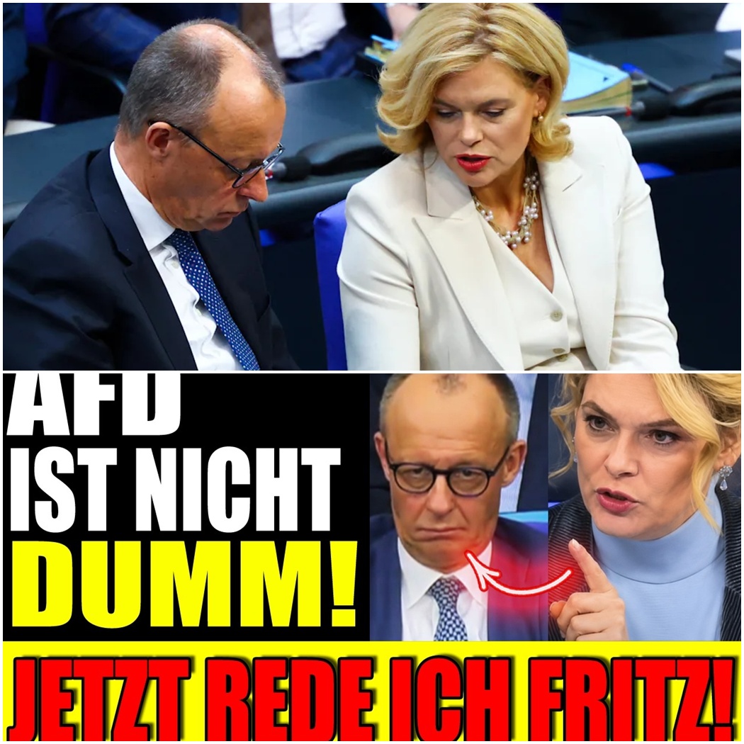 Eklat im Parlament: Ein historischer Paukenschlag, zerschmetterte Wahlversprechen und die ungeschönte Wahrheit über Deutschlands Zukunft