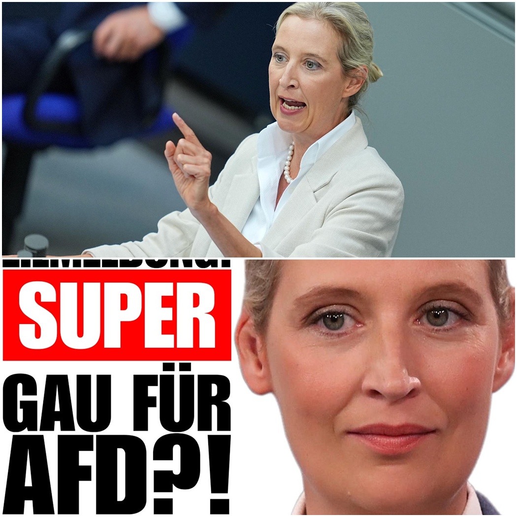 Das Ende der Ausreden: Warum die explosive neue Wähler-Umfrage das politische Establishment in Panik versetzt