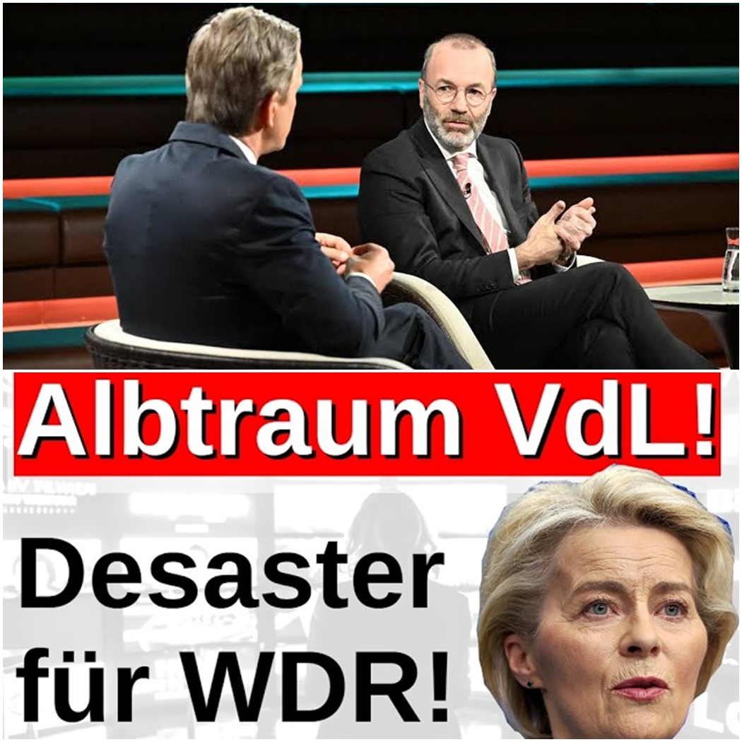 Politischer Schlagabtausch im Europaparlament: Wie ein geplantes Debakel für die AfD zum Boomerang für die EU-Kommission wurde