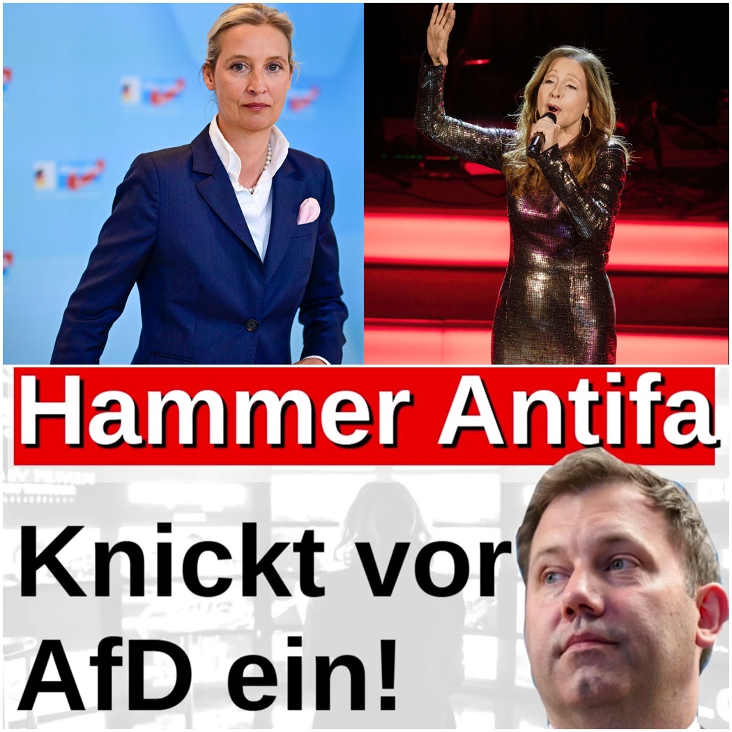 Der große Kniefall der Szene: Warum Antifa-Bands und Mainstream-Stars plötzlich die Brandmauer zur AfD einreißen