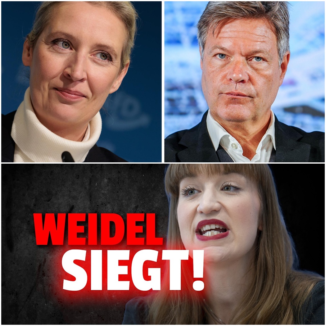 Der juristische Paukenschlag: Wie Alice Weidel die Linken-Chefin Ines Schwerdtner in die Knie zwang und eine beispiellose Fake-News-Kampagne beendete