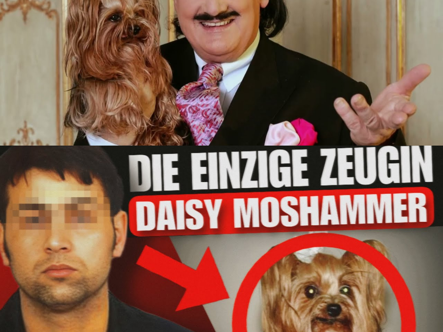 Promi-Mord von München – Der Fall Rudolph Moshammer  T