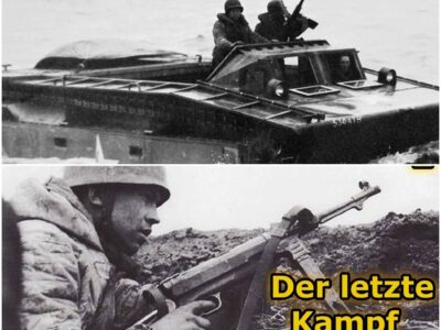 Endkämpfe im Reichsgebiet – Reichswald 1945 – Fallschirmjäger DD